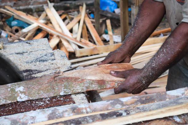 istock Asian man working in a sawmill in Aceh, Indonesia 1477246955