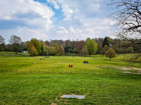 Green grass lawns and woodland of a park. English countryside and nature.