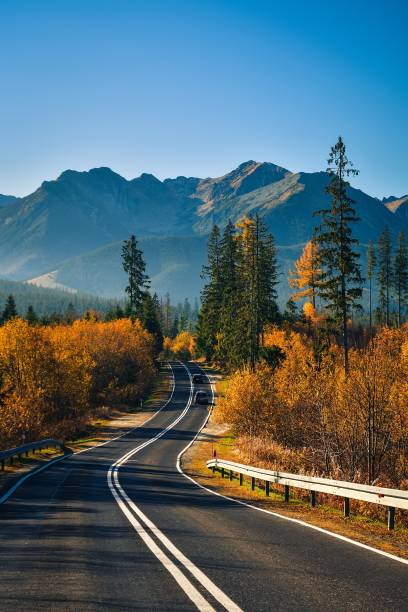 istock Beautiful mountain landscape in the morning. 1477247478