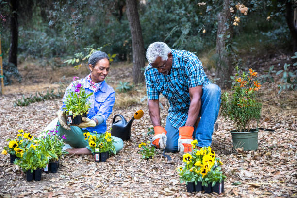 istock Senior Black Couple Gardening 1477248025