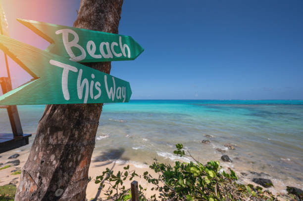 istock Wooden arrow sigh to beach 1477249208