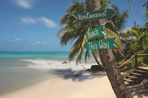 Restaurant sign arrow on palm tree in blue sea and sky background