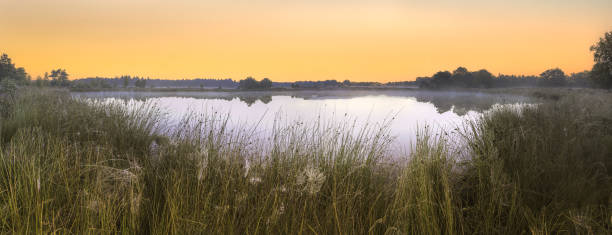 istock Peat pool atsunset on Terhorsterzand, the Netherlands 1477251017