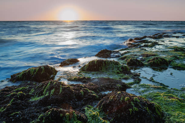 istock Coastal rocks with waves at sunset 1477252385