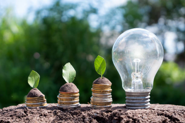 istock Burning light bulb next to the coins from which leaves grow. 1477254751