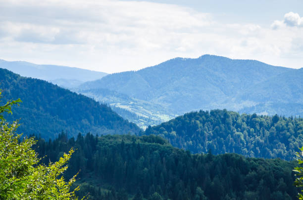 istock Panoramic mountain view. Summer in the mountains 1477254804
