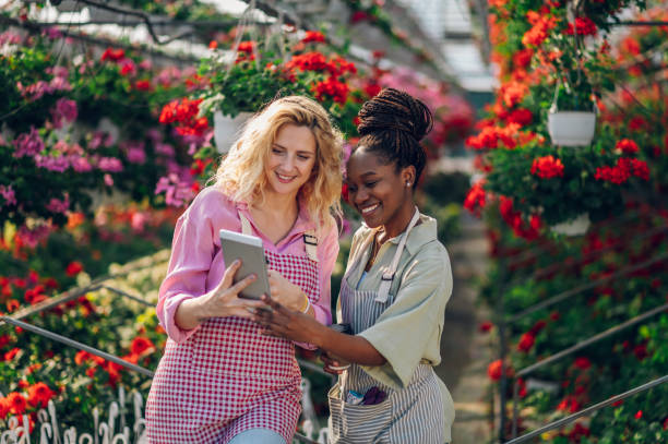 istock Multiracial woman gardeners working in a greenhouse using tablet 1477258646