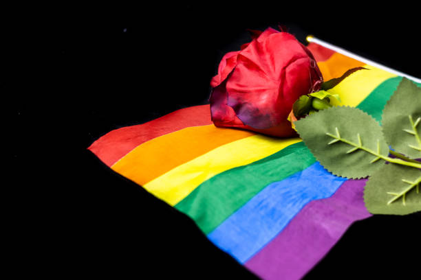 istock Red rose on lgbtq flag on black background. A red rose on a rainbow flag. 1477259280
