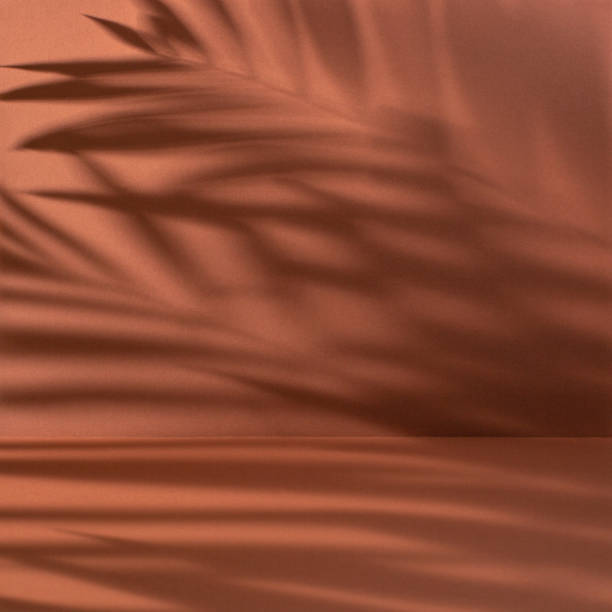 priorità bassa astratta con l'ombra delle foglie di palma in un colore di terracotta - backdrop pattern material colors foto e immagini stock