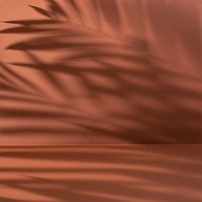 Orange - brown paper backdrop with palm leaves shadow.
