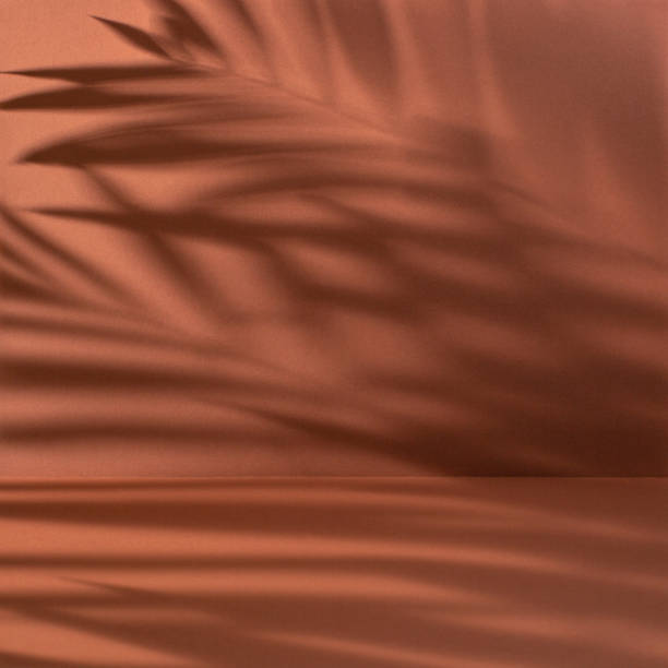 abstract background with palm leaves shadow in a color of terracotta - toprak askerler stok fotoğraflar ve resimler