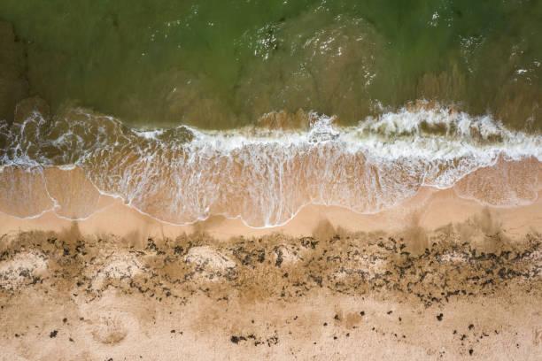 istock Aerial view to surf at the sea 1477262510