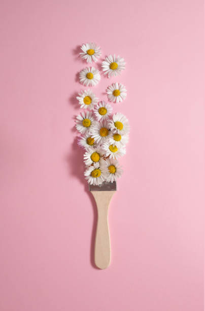 istock Creative spring concept made with paint brush and white daisy flowers on pastel pink background. Minimal nature flat lay. 1477263306