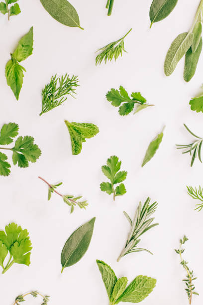 istock Variety of fresh herbs isolated on background, top view. 1477265626