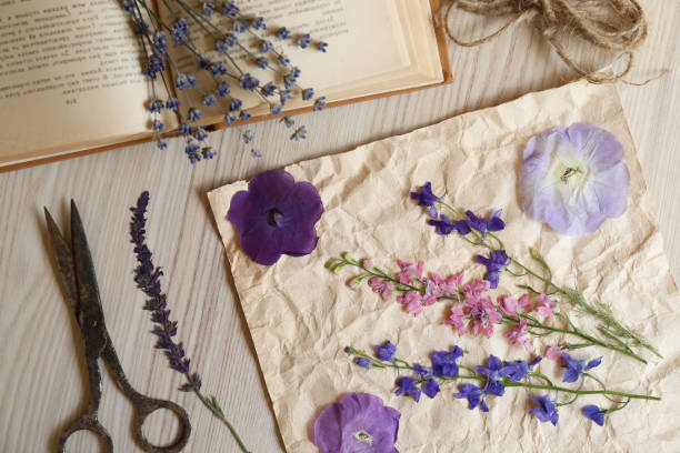 istock Flat lay composition with beautiful dried flowers, book and scissors on wooden table 1477278403