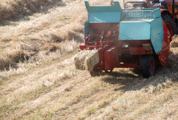 Tractor makes hay bales in the field with dry grass