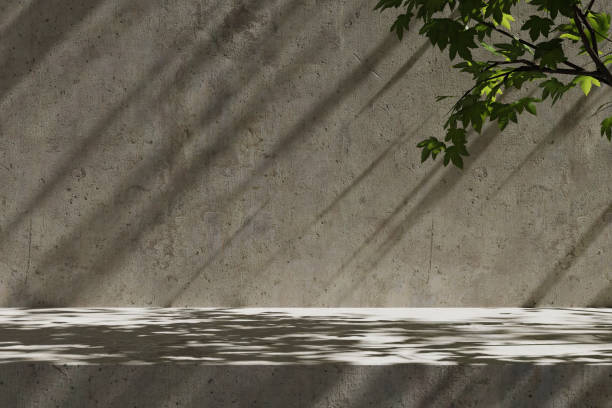 istock Podium background with leaf shadows with concrete walls and floor. 3d rendering 1477291202