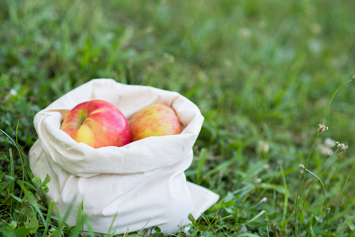 Reusable, zero waste cloth bag full of apples from the farmers market is sitting in the green grass outdoors.