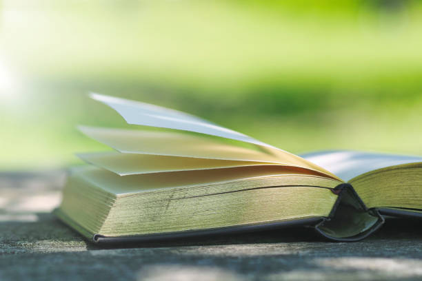 istock Retro thick book and green background 1477294148