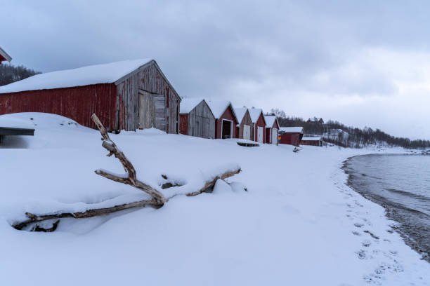 istock snowy nature view and coastline in tromso, norway 1477297100