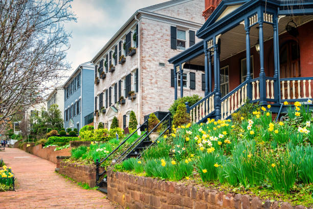 New loft apartments or condominiums with extensive landscaping.