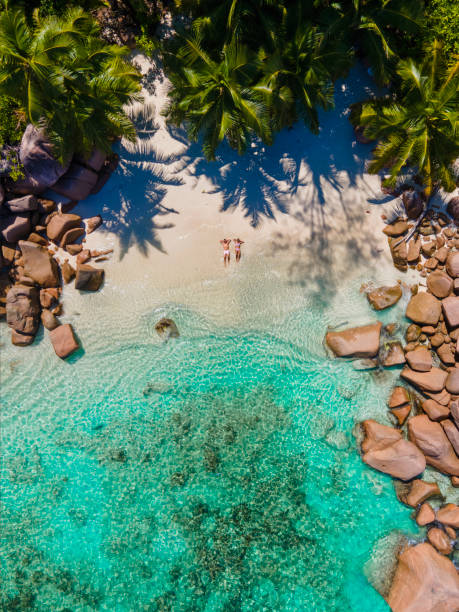 istock Praslin Seychelles tropical island with withe beaches and palm trees, couple men and women mid age on vacation at the Seychelles visiting the tropical beach of Anse Lazio Praslin Seychelles drone view 1477302294