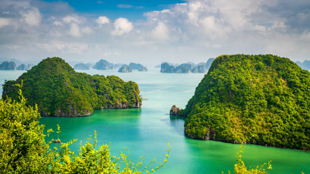 istock Islands of Ha Long Bay 1477303541