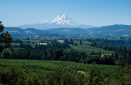 View of the farmlands in Columbia River Valley with Mount Hood at the background from Panorama Point - Hood River, Oregon state, USA