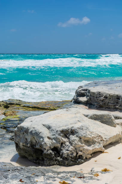 istock Mexico Cancun, beautiful Caribbean coast 1477305116