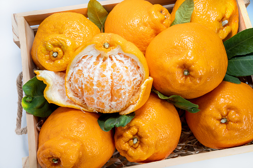 Orange fruit in Wooden box on white background, Dekopon orange or sumo mandarin tangerine on White Background.