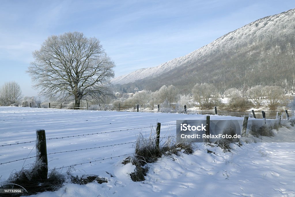 Inverno paesaggio di campagna nel nord della Germania (XXXL - Foto stock royalty-free di Albero