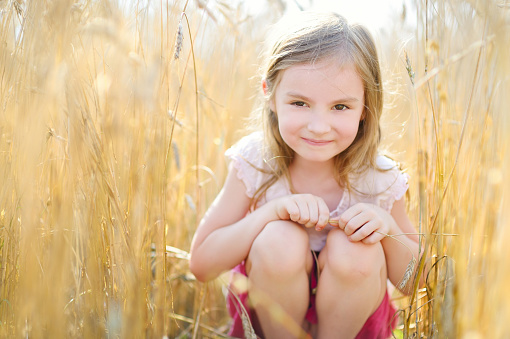 Adorable preschooler girl walking happily in wheat field on warm and sunny summer day