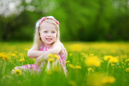Adorable little girl in blooming dandelion meadow on beautiful spring day. Child having fun outdoors picking fresh flowers.