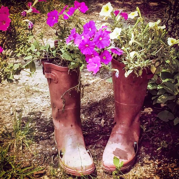 brown boots with flowers - blooming old painterly effect rural scene imagens e fotografias de stock