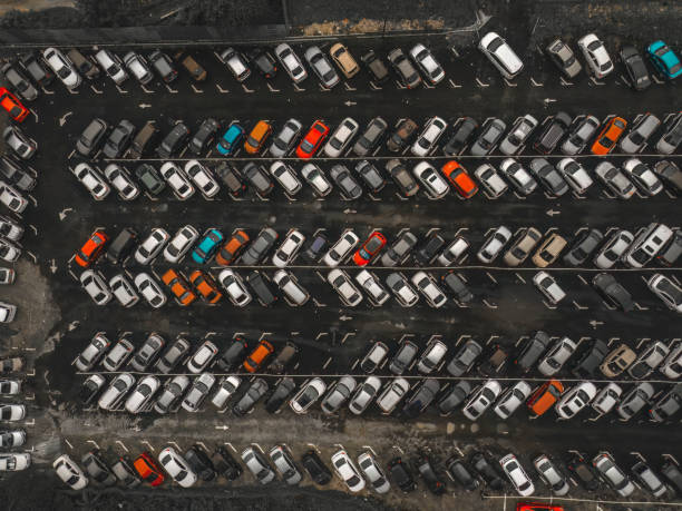 Cars standing side by side in a street with trees front view