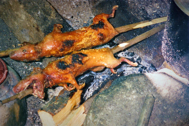 Guinea pigs cooked traditional peruvian food barbacue dish