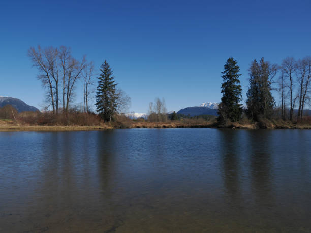 istock Trail along the Alouette River 1477353210