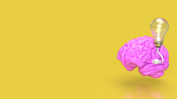 istock The pink Brain and light bulb on yellow background for creative or idea concept 3d rendering 1477358576