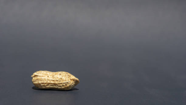 orzeszki ziemne z czarnym tłem w lewym dolnym rogu. - peanut legume textured effect fat zdjęcia i obrazy z banku zdjęć