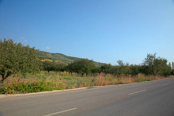 Asphalt road leading to the village
