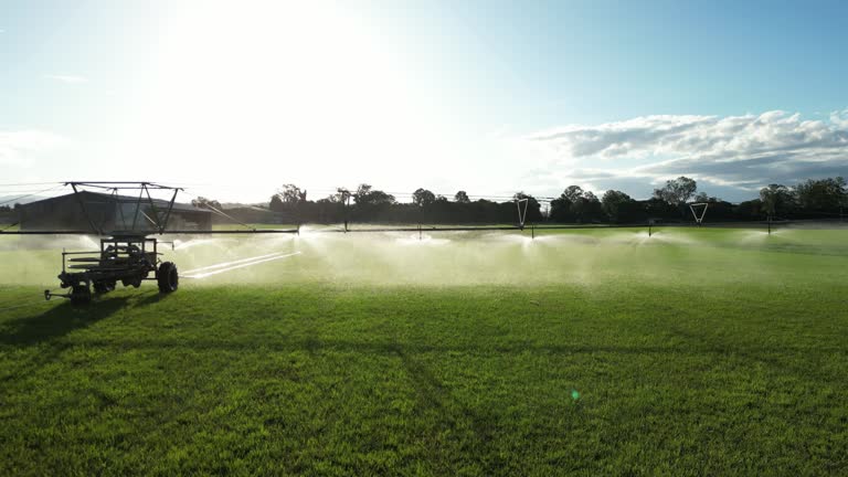 Crop Irrigation, Fassifern Vally, Boonah, Queensland