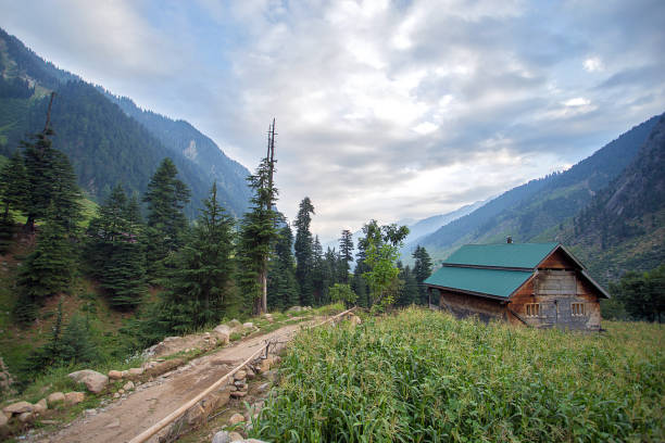 istock Landscape of Jagran Valley 1477375143