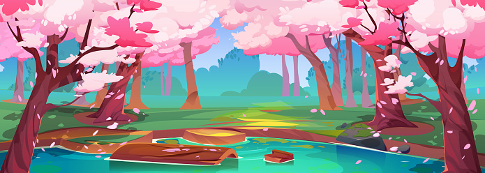 Spring forest with Japanese cherry trees and lake. Park landscape with sakura trees with falling pink petals, river or pond shore, green grass and bushes, vector cartoon illustration