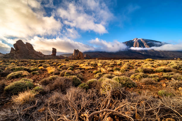 bellissimo paesaggio nel cratere del pico del teide a tenerife - hiking mountain dirt scenics foto e immagini stock