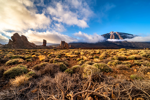 impressions of the teide national park on tenerife