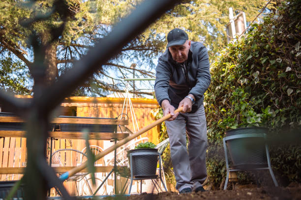 istock Raking leaves in small bites keeps the garden looking decent 1477382220