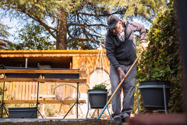 istock Raking leaves in small bites keeps the garden looking decent 1477382293