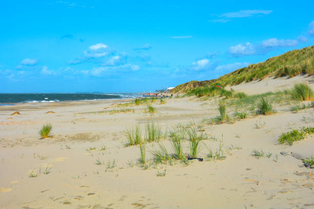 istock Beach with dunes on Zeeland in the Netherlands 1477383323