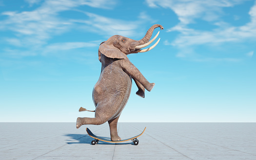 Elephant on skateboard. Impossible and happiness concept. This is a 3d render illustration