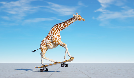 Giraffe on skateboard. Impossible and happiness concept. This is a 3d render illustration